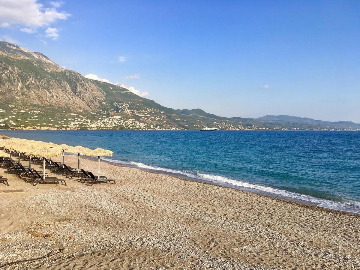Serene Seaside Bliss - Lush & Secluded Garden Oasis كالاماتا المظهر الخارجي الصورة